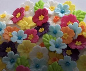 Flores e Decorações
